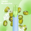 Snowplus Dash 4000 Puffs Disposable Vape