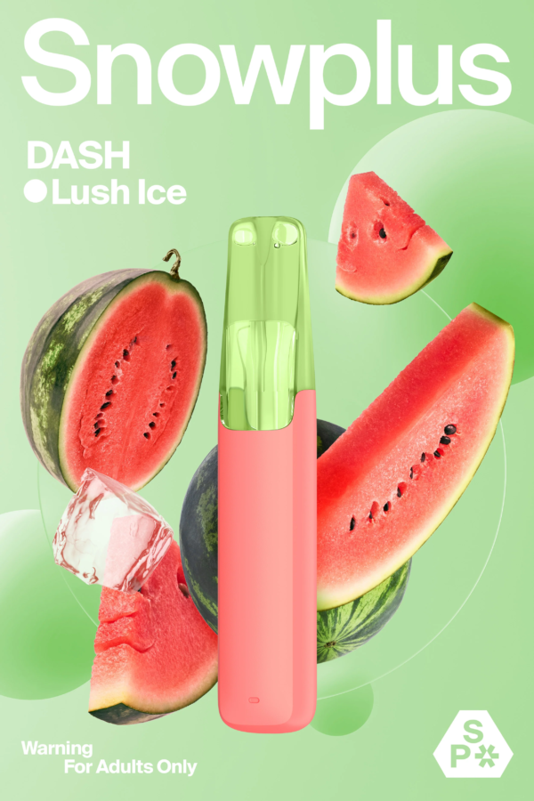 Snowplus Dash 4000 Puffs Disposable Vape