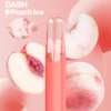 Snowplus Dash 4000 Puffs Disposable Vape