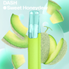 Snowplus Dash 4000 Puffs Disposable Vape