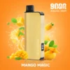 Alibarbar Ingot 9000 Puffs FW