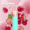 Snowplus Dash 4000 Puffs Disposable Vape
