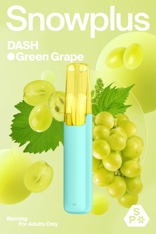 Snowplus Dash 4000 Puffs Disposable Vape